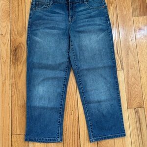 Style & Co Blue Straight Jeans with Natural Fading